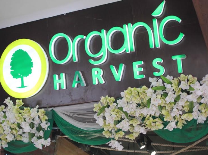 Organic Harvest Launches Makeup Range with Certified Organic Ingredients